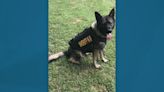 Remembering Tennessee police K-9s killed in the line of duty