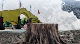 Secretaría del Medio Ambiente no autorizará la tala de árboles en Six Flags