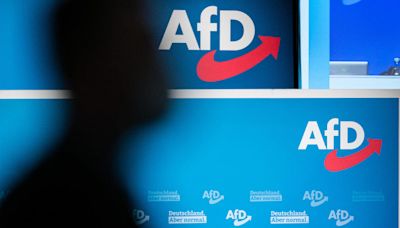 'Pagamos por todos, pero para los alemanes no hay dinero', dicen electores de AfD