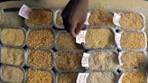 Govt steps up MSP operations for pulses; assured purchases in 76 districts across 12 states