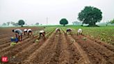 Economic Survey highlights how agriculture can be India’s growth engine amid trade protectionism & AI - The Economic Times