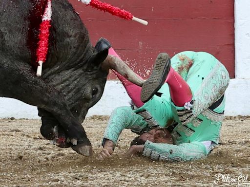 Las enfermerías de Francia, de nuevo en la picota (y la culpa es de del silencio cómplice de los toreros y de la pasividad de la afición de ese país)