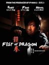 Fist of Dragon