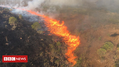 Brasil faz reunião do G20 sobre agro "sustentável" em cidade coberta por fumaça