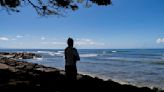 Hawaii Wildfires Coastal Waters