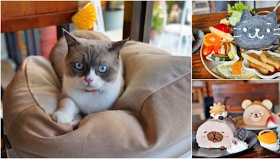 可愛爆擊！被綠油油水田包圍的宜蘭貓貓咖啡屋，早午餐、甜食都好萌～