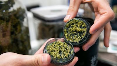 Arguments to keep marijuana illegal don’t hold up against reality in Florida | Opinion