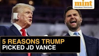 The JD Vance Math: Trump's Running Mate Once Called Him An ‘Idiot’, But Now...