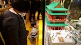 Lego will cross 500-store mark in China this year despite sluggish economy, CEO says