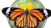 El Clot de Galvany presenta la jornada “Mariposas en el Clot”