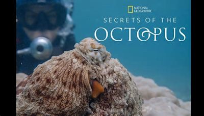 Nat Geo's "Secrets of The Octopus" exclusive: Dr. Alex Schnell talks about these amazing animals