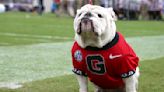 UGA X, winningest Georgia Bulldgogs mascot and 'damn good dawg,' dies at 10