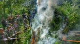 Indonesia burns marijuana plantation that was discovered by drones