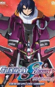 Mobile Suit Gundam SEED Destiny: TV Movie II - Their Respective Swords