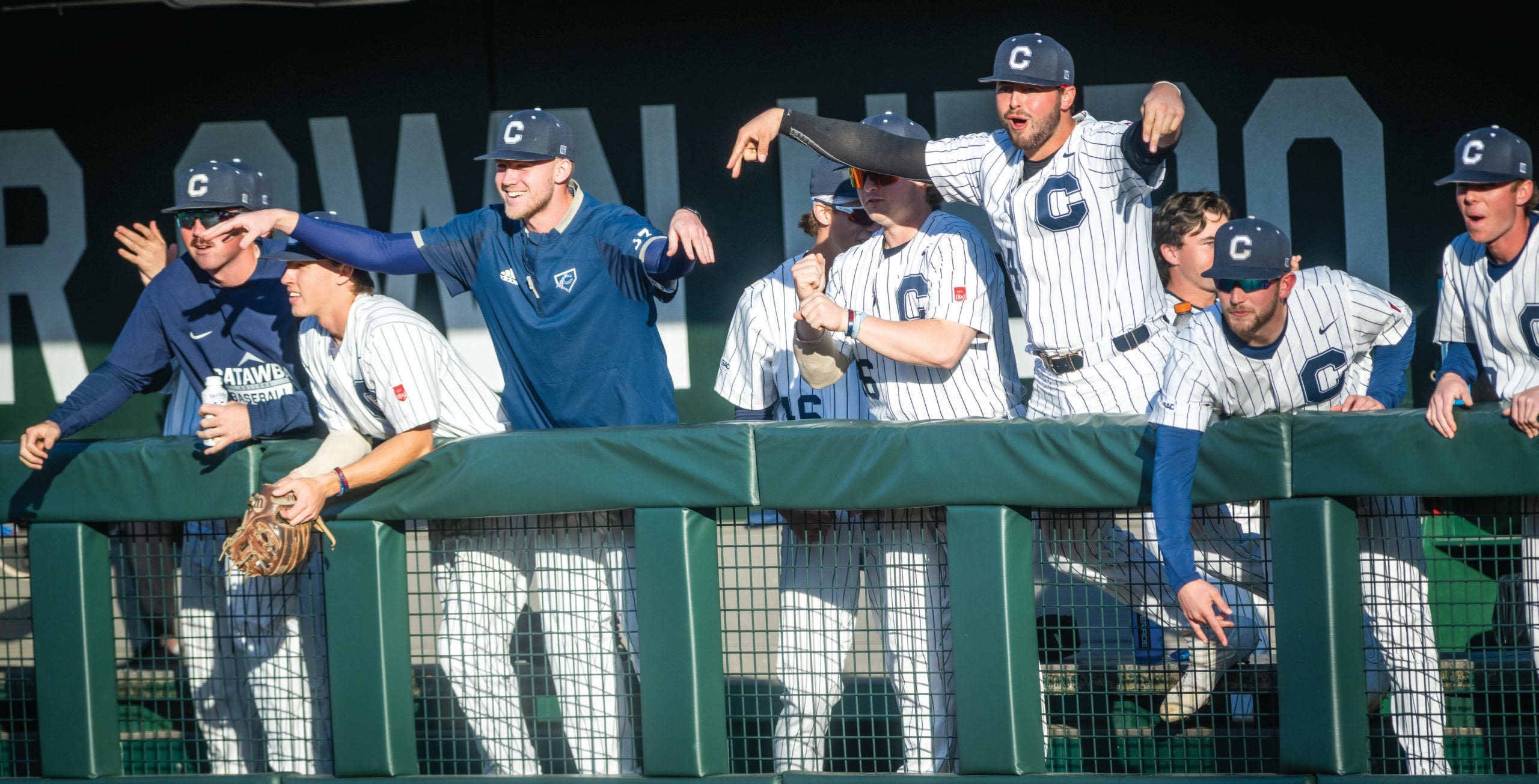 College baseball: Super Regional starts Friday at Newman Park - Salisbury Post