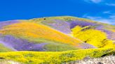 Bureau of Land Management orders removal of oil wells in California's Carrizo Plain