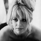 Carol White