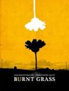Burnt Grass