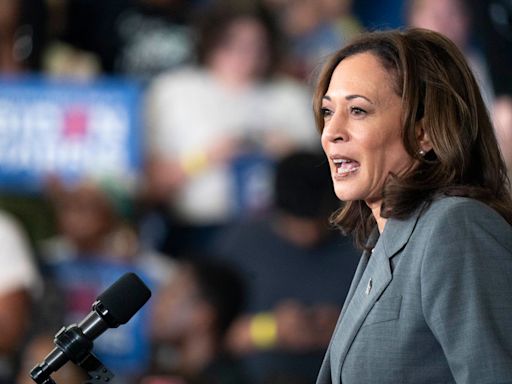 R.I. Democratic delegates to vote Wednesday on Harris endorsement