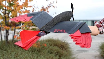 Investigadores suizos buscan la manera de que los drones puedan parecerse más a los pájaros