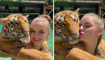 California Zoo Owner Shares Viral Video Swimming With Tiger - News18