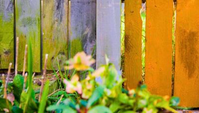 Remove algae stains from wooden fences and patios with one ‘magic’ kitchen item