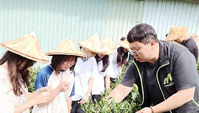 傳承茶香 三峽百年茶行食農教育