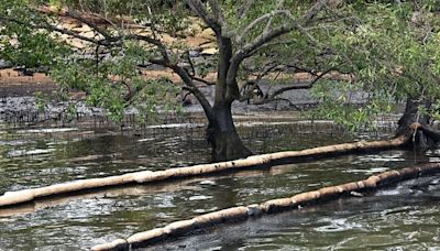 Oil spill incident: Time needed to assess full extent of environmental impact, says Desmond Lee