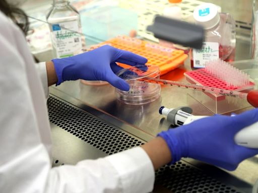 Maharashtra Government To Bring New Law To Crack Down On Fake Pathology Labs