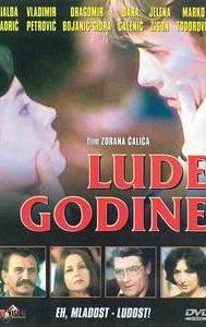 Lude godine