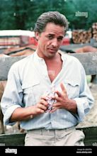 DON JOHNSON, THE LONG HOT SUMMER, 1985 Stock Photo - Alamy