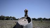 Botswana to Repay Loans, Subsidize Feed as El Niño Kills Cattle