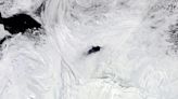 Mysterious Polynya: Scientists Finally Explain Huge Hole in Antarctic Sea Ice