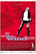 Any Way the Wind Blows (film)