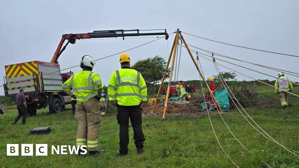 Cow rescued from mine shaft by firefighters in Cornwall