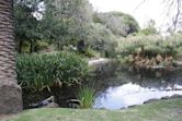 Hedgeley Dene Gardens