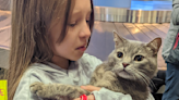 10-year-old from Ukraine reunited with cat in California