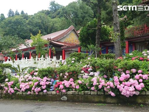 暑假訂房慘剩3成！梨山賓館推3天2夜獎勵 團客住宿最高補助1萬元