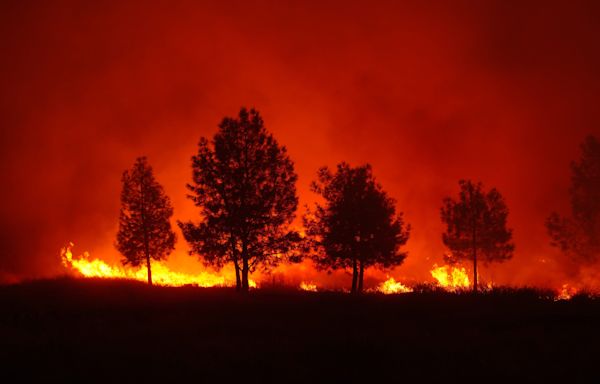 Park Fire is the largest of more than 100 fires currently ablaze across US