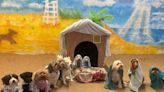 U.K. Dog Daycare Recreates Nativity Scene with 'Clever' Canines: 'We Practice Year-Round'