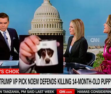 CNN’s Jim Acosta Says Trump VP Prospect Thought Dog Story Would Help: ‘Look What I Can Do! I Can...