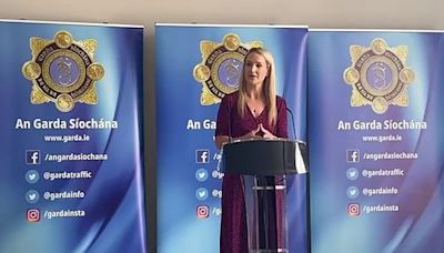 Helen McEntee speaks about Natasha O'Brien assault