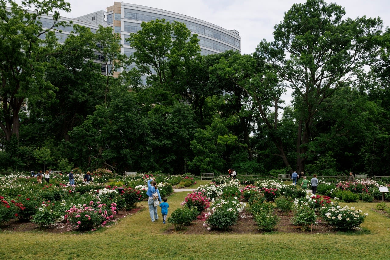 Locals push back on University of Michigan’s proposed transit route through Arb