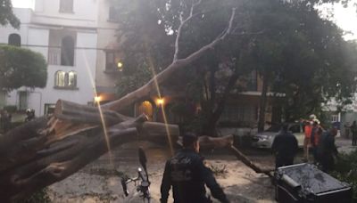 FOTOS: Fuerte lluvia deja charcos y árboles caídos en CDMX