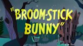 Broom-Stick Bunny