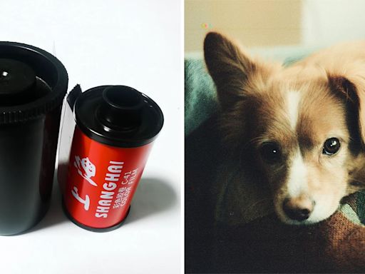 Shanghai Launches Versatile Shenguang 400 Color Negative Film