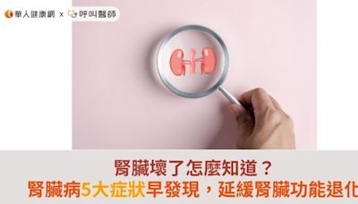 腎臟壞了怎麼知道？腎臟病5大症狀早發現，延緩腎臟功能退化 | 蕃新聞