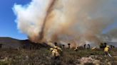 Reportan nuevo incendio forestal en Matehuala; hay 170 hectáreas afectadas