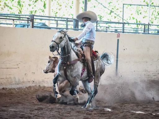 Oro histórico en charrería