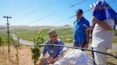 Ukrainian winemakers visit California’s Napa Valley to learn how to heal war-ravaged vineyards